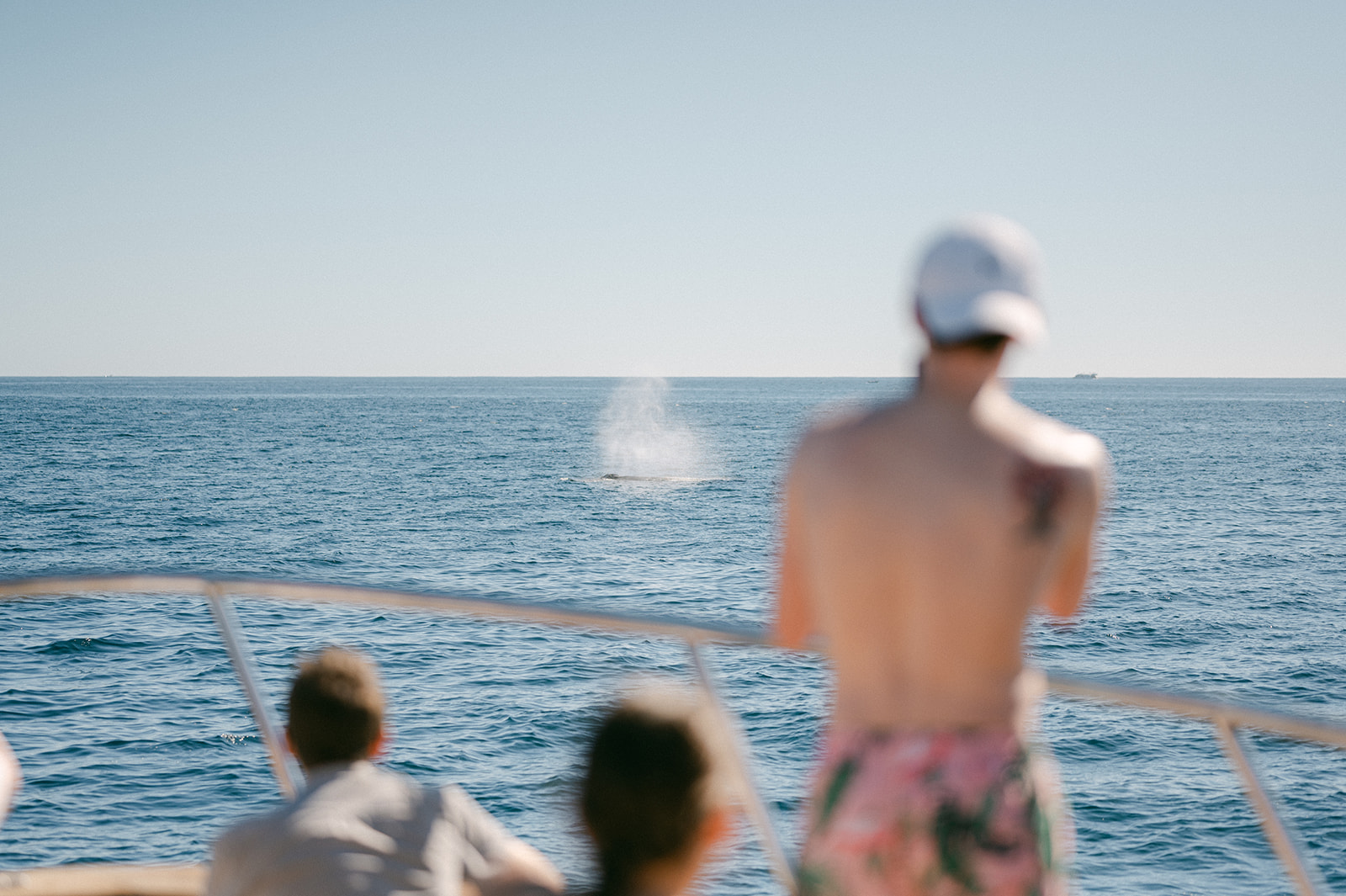 Wedding party watching whales swim by on a private yacht in Mexico. 
