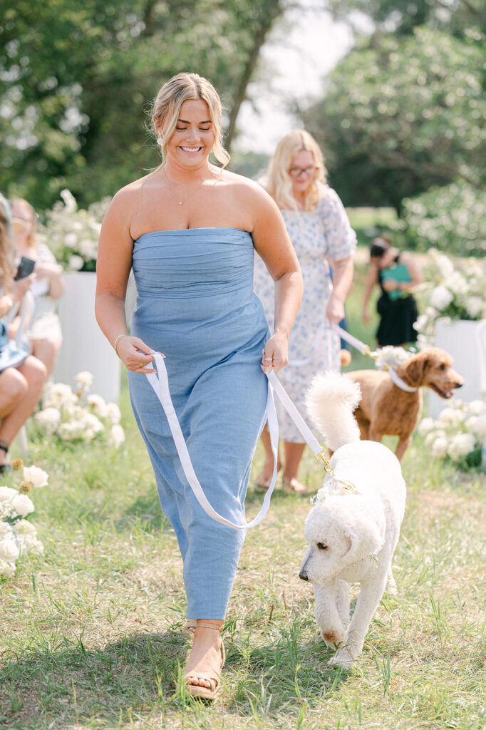 Bridesmaids walking down the aisle with the couple's two golden doodle dogs. 