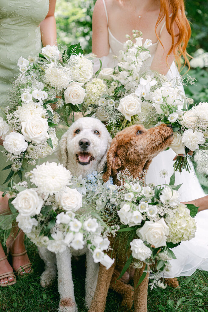 Bouquet circle around dogs. A fun way to incorporate your dogs into your wedding portraits! 