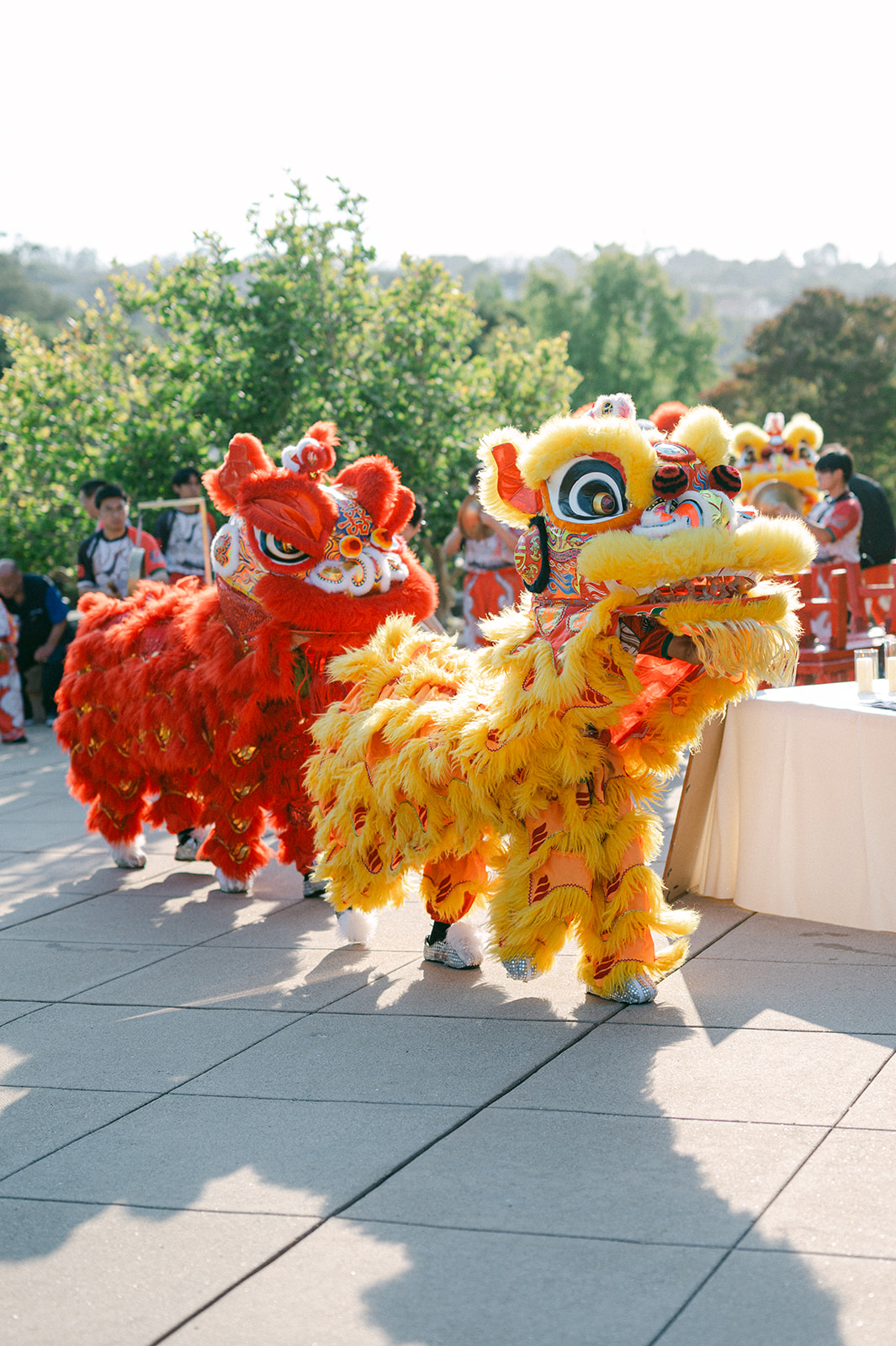Chinese lion dancers performing during cocktail hour at Kohl Mansion wedding.