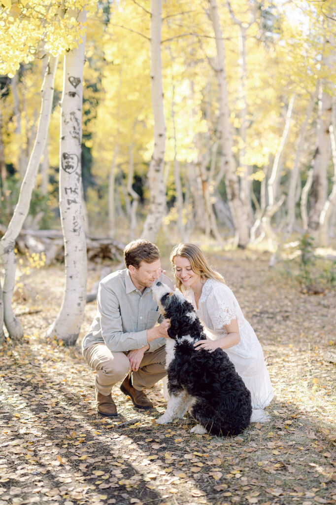 Lake Tahoe fall engagement photography featuring golden aspens and their pet dog.
