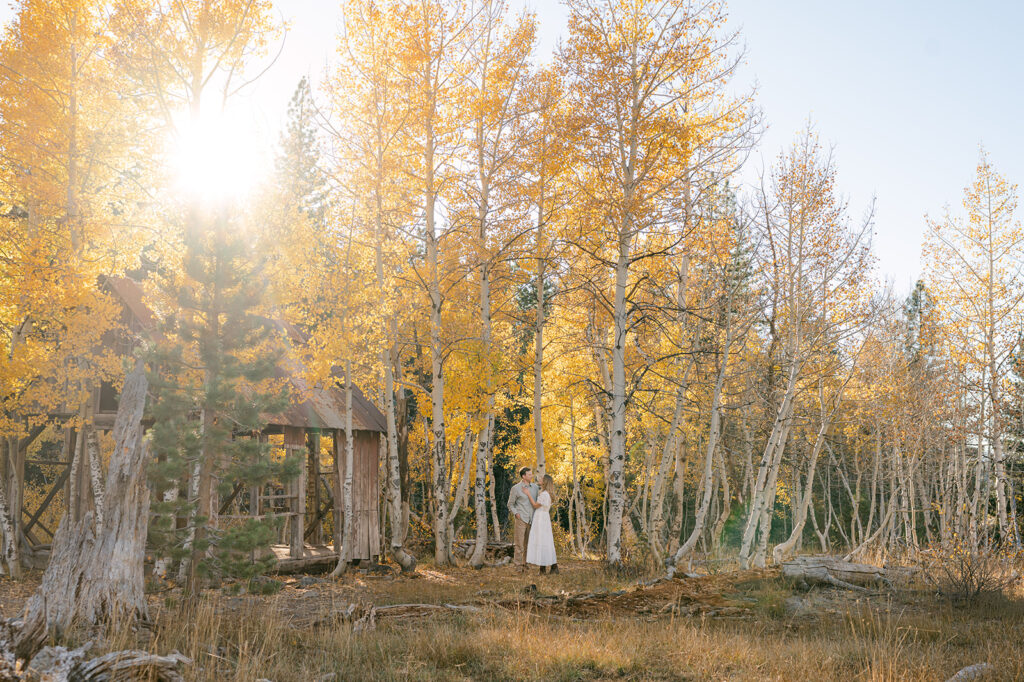 Cozy engagement shoot among aspen trees in Truckee, California.