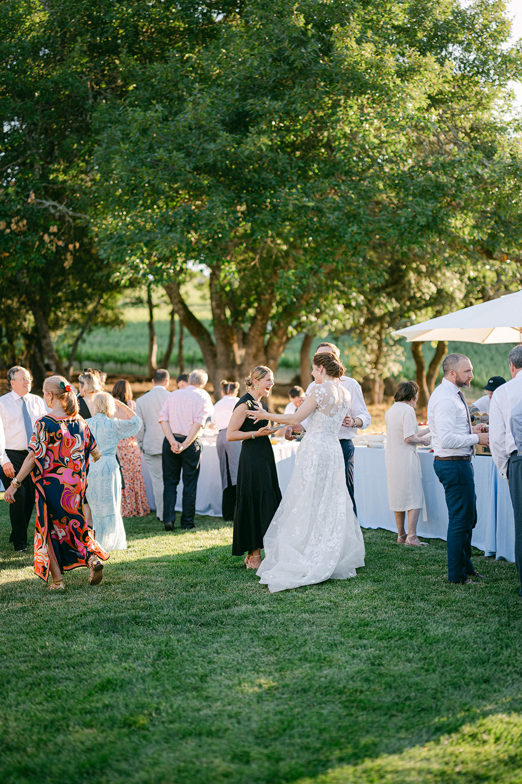 Guests mingling during al fresco dinner at Sonoma Vineyard Estate.
