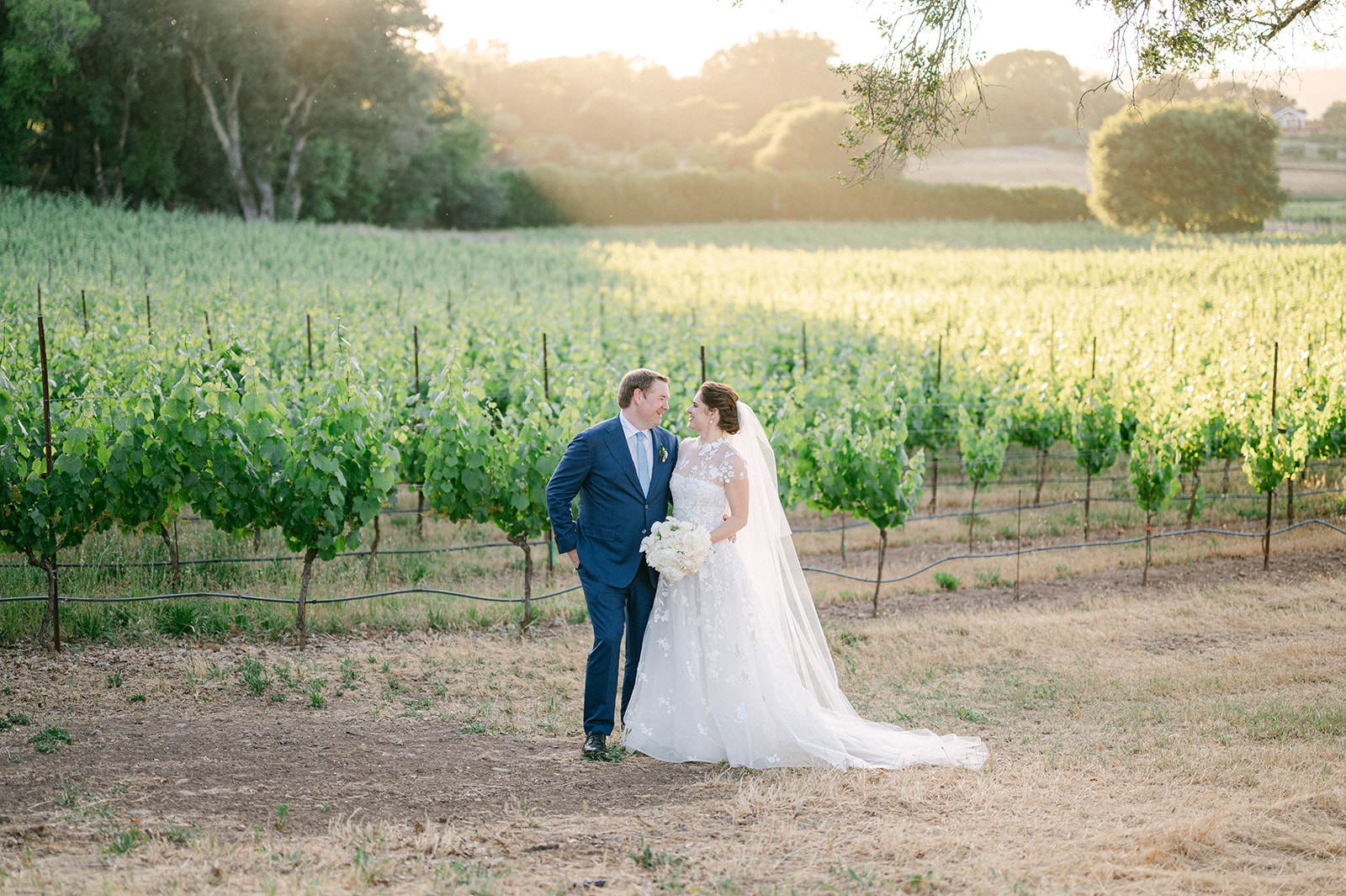 Timeless bride and groom portraits with Napa Valley scenery.