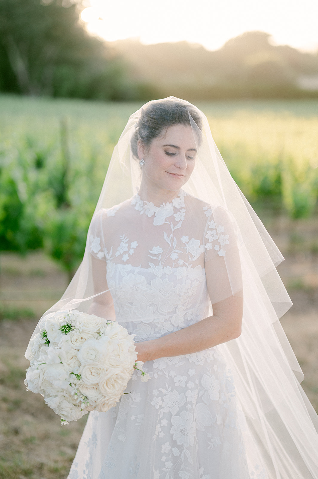 Elegant bridal portrait with vineyard views in Napa Valley