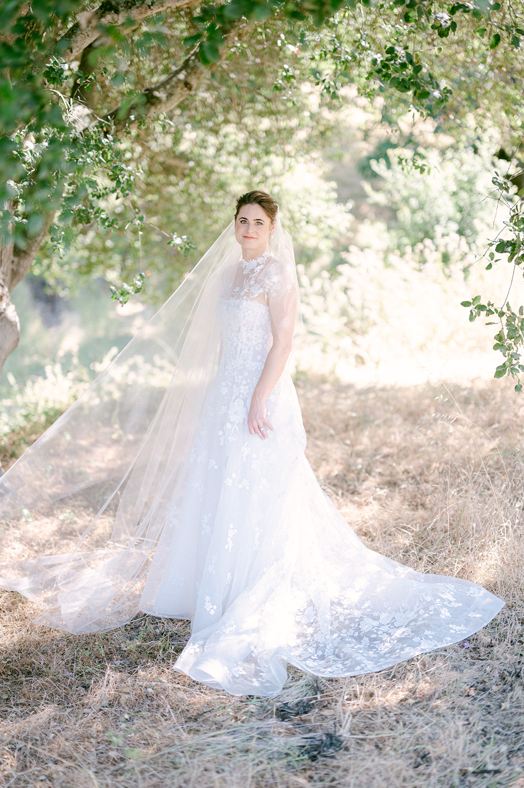 Summer bridal portraits at Sonoma Vineyard Estate.