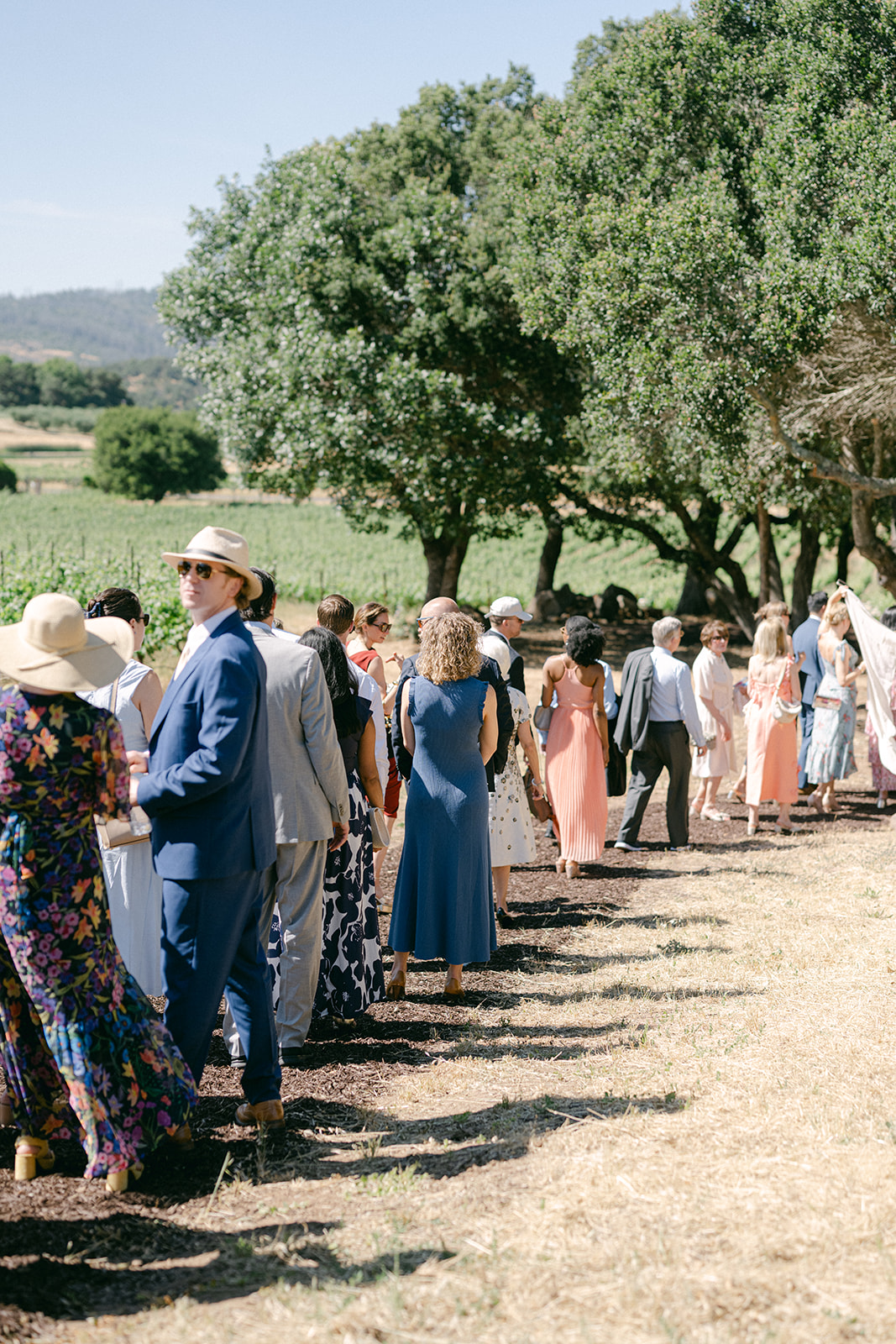 Guests walking toward the vineyard ceremony at Sonoma Vineyard Estate.