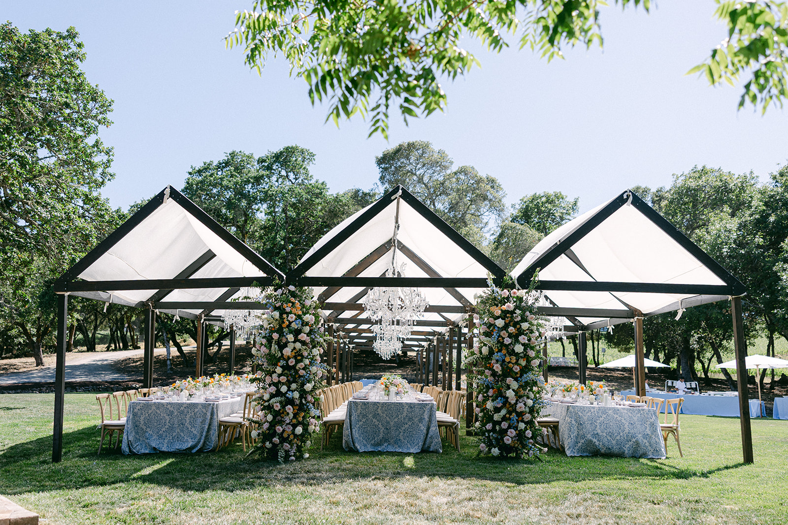 Al fresco wedding dinner at Sonoma Vineyard Estate.