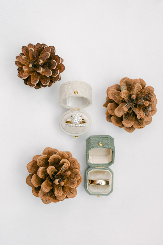 Styled flat lay of wedding rings for a mountain wedding.