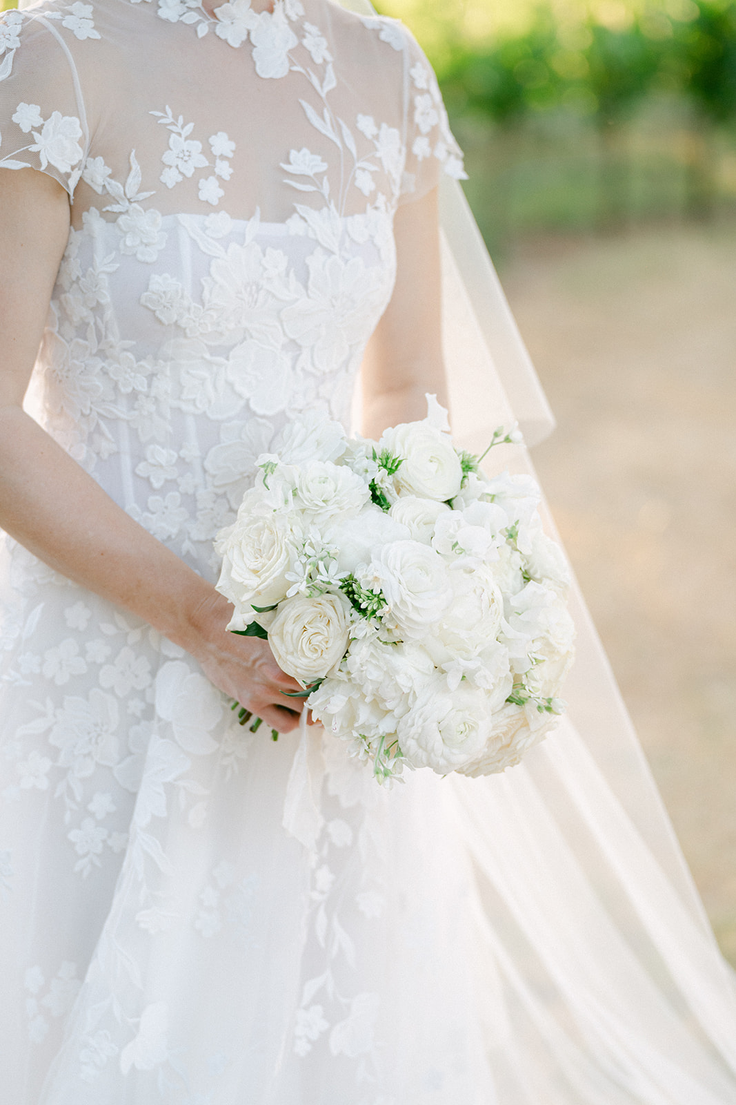 Editorial-style bride and groom portraits at Sonoma Vineyard Estate.